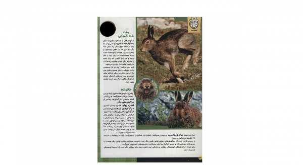 مجله حیوانات شگفت انگیز - شماره 14