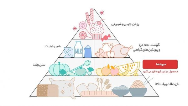 شاتوت نوبر سبز 1 کیلوگرم