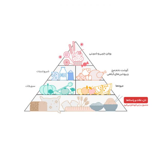ماکارونی پنه ریگاته زر ماکارون مقدار 500 گرم